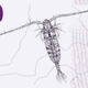 Illustration for article titled The Designs Norway Rejected For Its New Banknotes Are Amazing